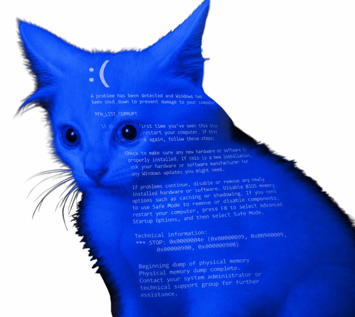 Blue Screen Cat